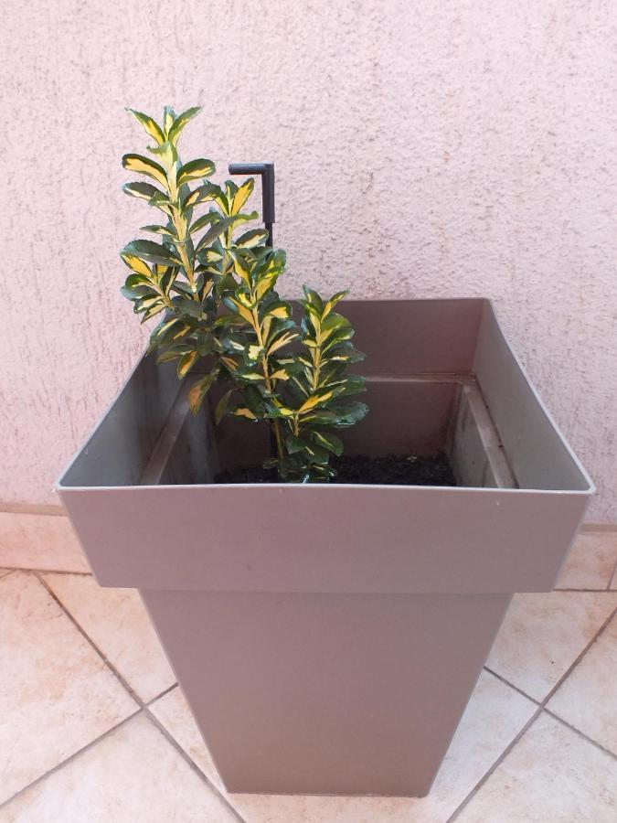 Apartment Temple Podgorica Bagian luar foto
